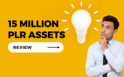 15 Million PLR Assets Review